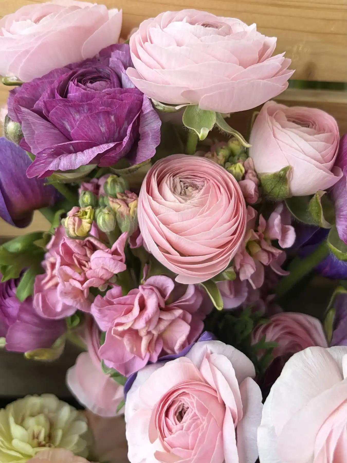 Ranunculus blooms